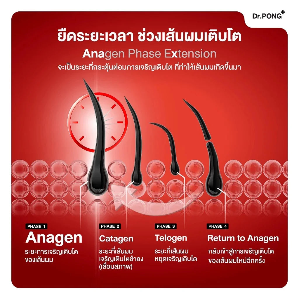 Dr.PONG ANA-X 30 ดอกเตอร์พงศ์ เอเอ็นเอ-เอ็กซ์ 30 วิตามินลดผมร่วง