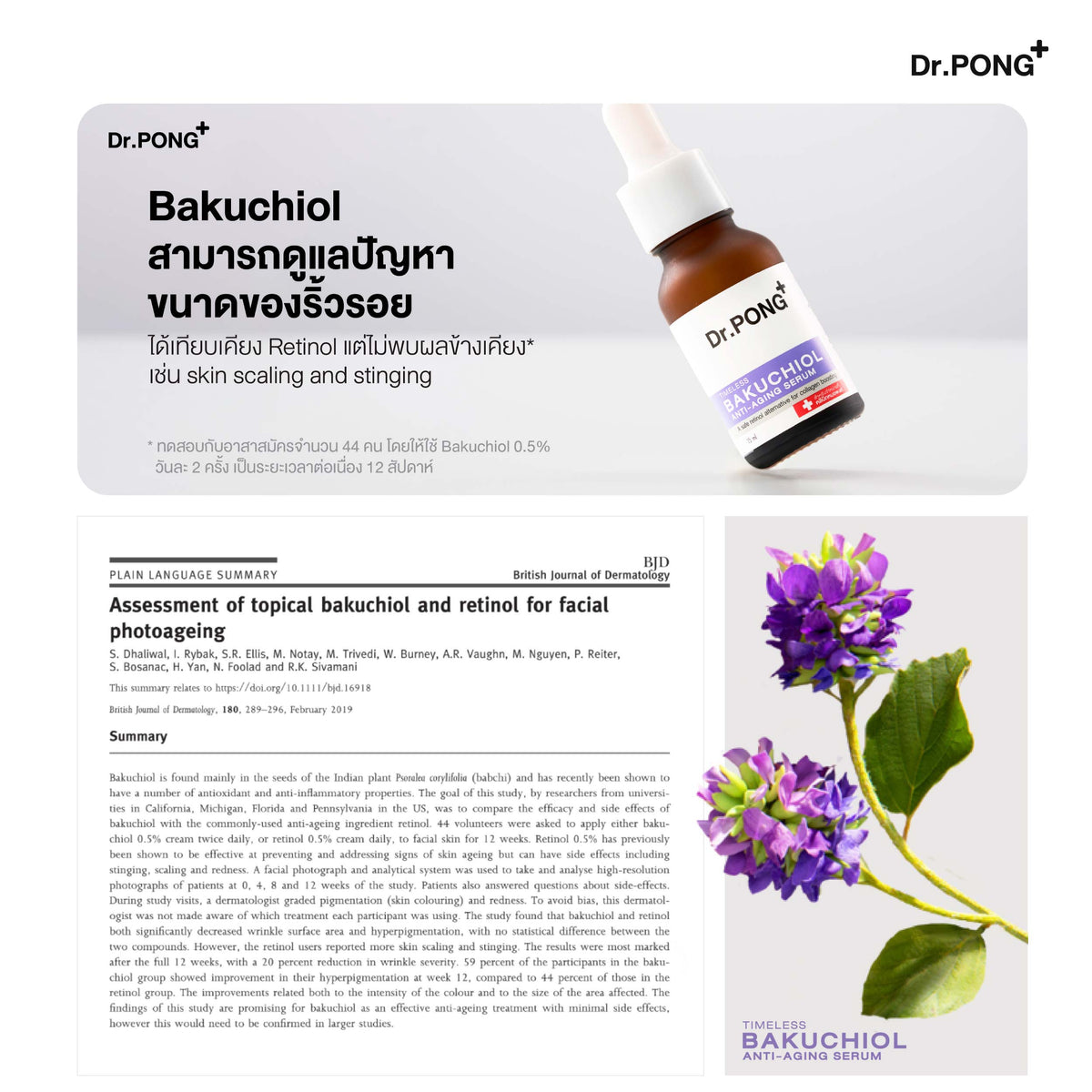 Dr.PONG Timeless Bakuchiol anti-aging serum 15 ml.