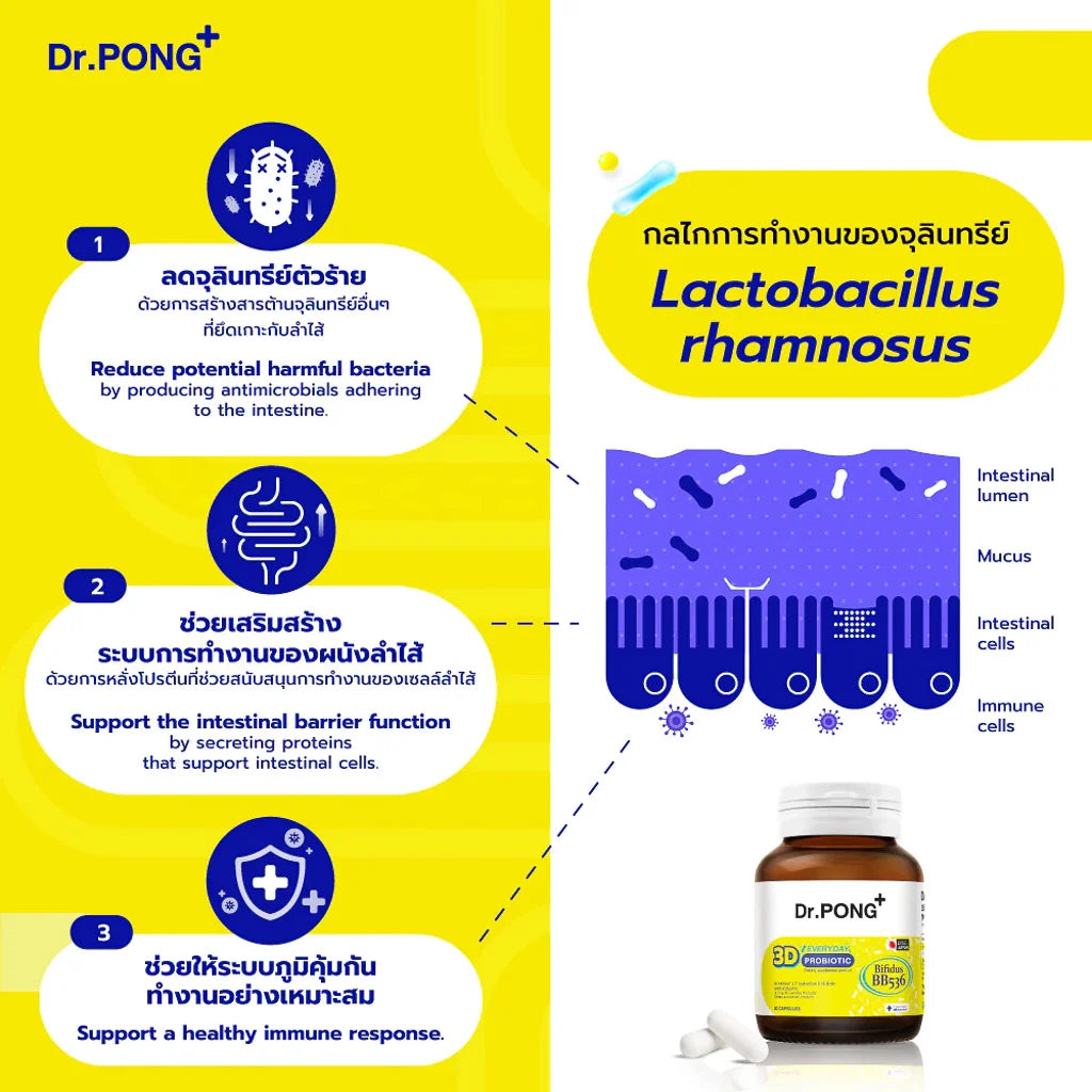 Dr.PONG 3D EVERYDAY PROBIOTIC ปรับสมดุลลำไส้ บำรุงผิว เสริมระบบภูมิคุ้มกัน
