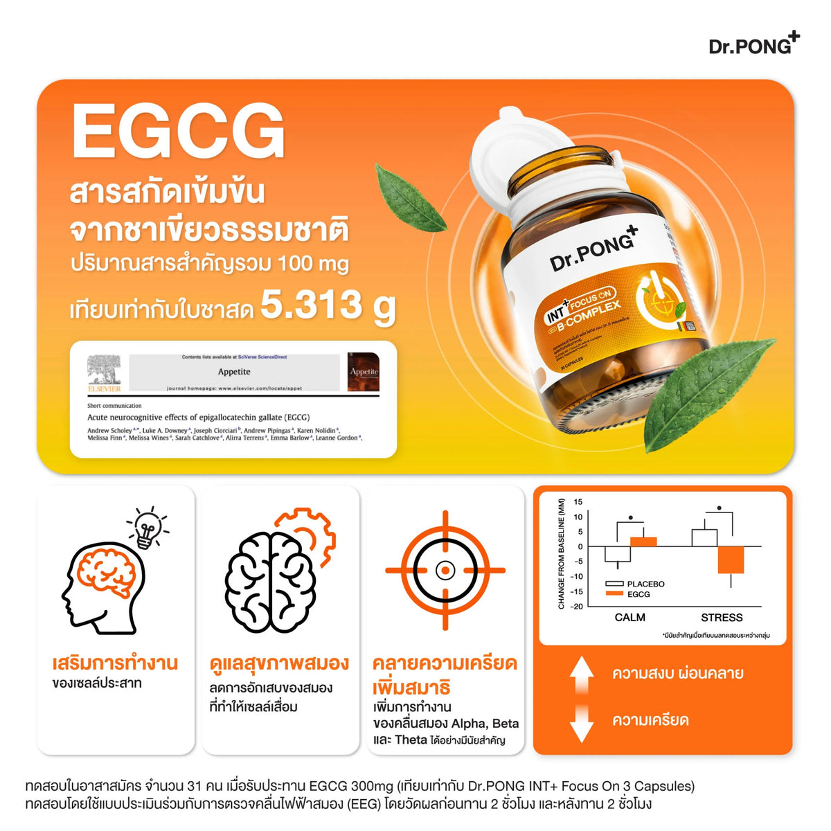 Dr.PONG_INT + Focus On with B-Complex_30Capsule