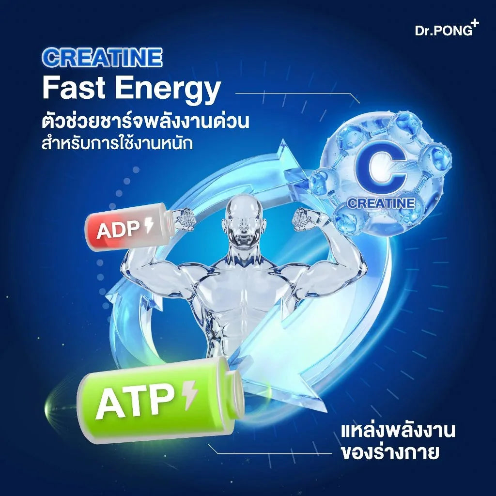 Dr.PONG_MICRONIZED CREATINE MONOHYDRATE_312g
