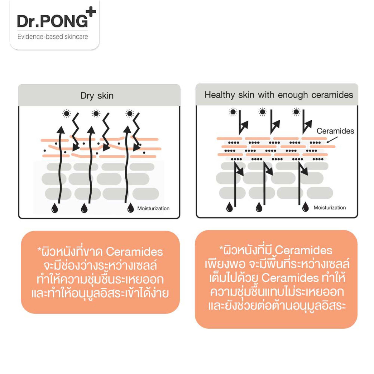 Dr.PONG Advanced Skin Detoxifying 30 ml ครีมพักหน้า ครีมบำรุงผิวหน้า