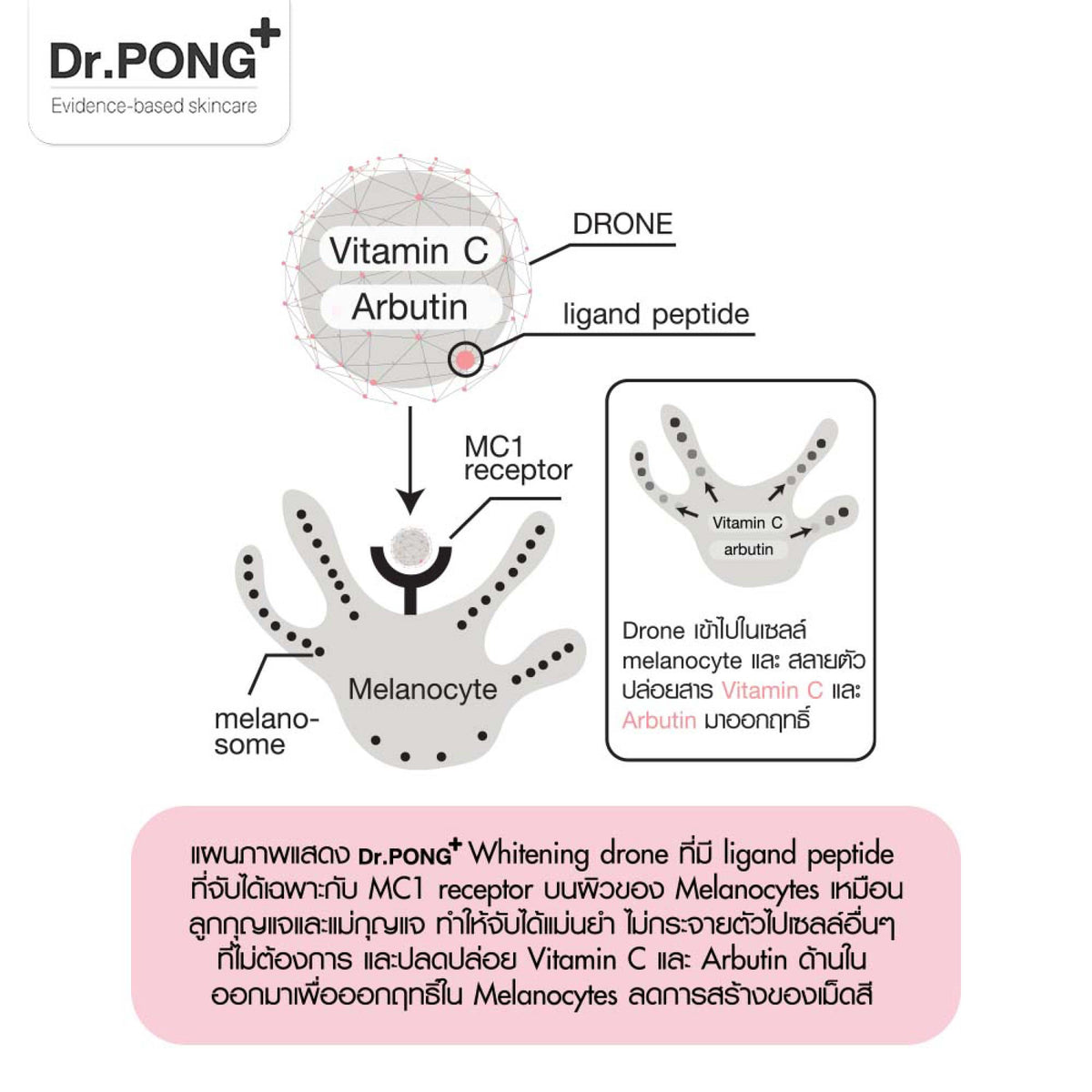 Dr.PONG 28D whitening drone body serum เซรั่มผิวกาย