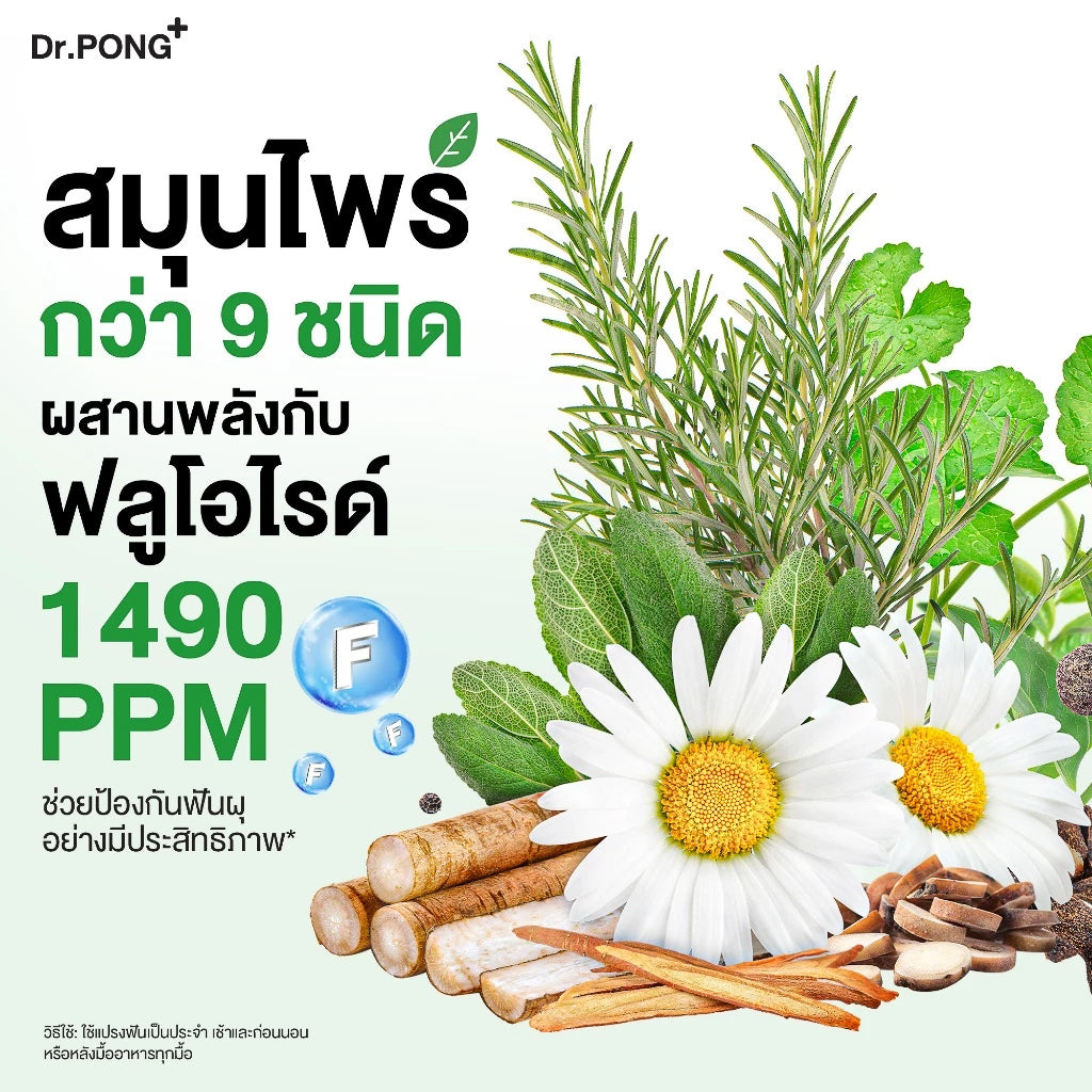 Dr.PONG 9x herbal plus fluoride toothpaste ยาสีฟันสมุนไพร