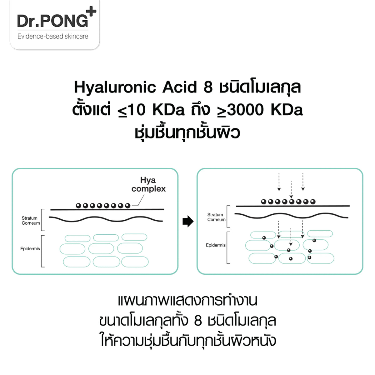 Dr.PONG_888 HYA GENTLE FACE AND BODY CLEANSER_275ml